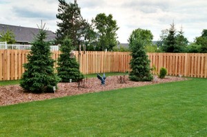 wood fencing, fence installers near me, Gates & fencing, vinyl privacy fence, pet fence, best fence company near me, Gate Operators, ornamental fence, chain link fence company near me, Guard Rails, commercial fencing, fence builder near me, chain link fence companies, galvanized fence post, best fence, residential fencing, fence service near me, commercial fence, affordable fence, Dog Kennel fence, chain link fence installers near me, shadow box fence, automatic gate repair,fence company near me, PVC fencing, fence contractor, fence contractors near me, fencing contractors, fences vinyl,fencing, fence, fences, fox valley fence, fencing near me, fence company, fence company near me, privacy fencing, privacy fencing near me, privacy fence, Wood fence, dog fence,
