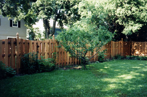 vinyl fence designs, fence installers shawano county, fence installers shawano, fence company shawano county, fencing contractors near me shawano, yard fencing shawano, Chain link in galvanized fence, Industrial grade fence, Athletic Complex fencing, Fence Repair Work, Sports Complex fencing, fencing consulting, fence consultant, fencing consultant, custom fence near me, animal enclosure fence company, commercial chain link fencing gates, manitowoc fence contractor, fence service sheboygan, pet fencing oshkosh, pet fencing green bay, fence installers sheboygan, yard fencing wisconsin rapids, fencing installation wisconsin rapids, best fence for dogs green bay, dog fence oshkosh, dog fencing oshkosh, sheboygan fence contractor,