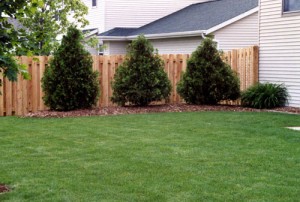 fences vinyl near me, fence companies near me, fencing, fence, fences, fencing companies near me, privacy fencing, privacy fence, Wood fence, dog fence, fencing near me, fencing companies,Gates & fencing, vinyl privacy fence, pet fence, pet fence near me, Gate Operators, Guard Rails, commercial fencing, galvanized fence post, rabbit fence, residential fencing, commercial fence, Dog Kennel fence, shadow box fence, rabbit fencing, white pvc fence,