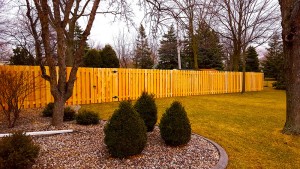fence company green bay, green bay fence contractor, in ground fence green bay, fence installers green bay, wood privacy fences, dog fence ideas fond du lac, fox valley web design, fence company fond du lac, chain link fence wi, scalloped privacy fence, manitowoc fence contractor, fence service sheboygan, fence repair fond du lac, dog fences oshkosh, fence repair green bay, plastic yard fencing, green vinyl fence, plastic privacy fence, pet fencing oshkosh, pet fencing green bay,